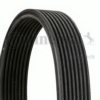 BMW 11287628279 V-Ribbed Belts